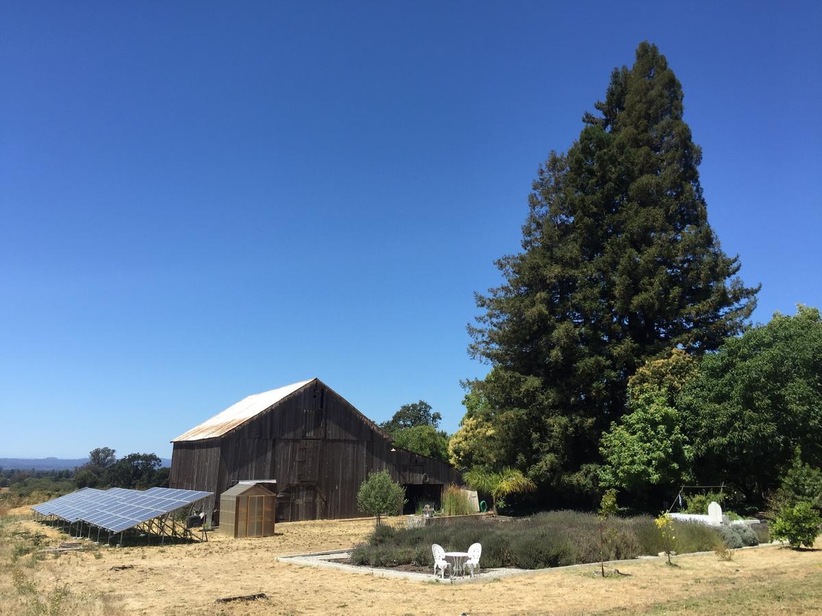 The Gables Wine Country Inn Santa Rosa Exteriör bild