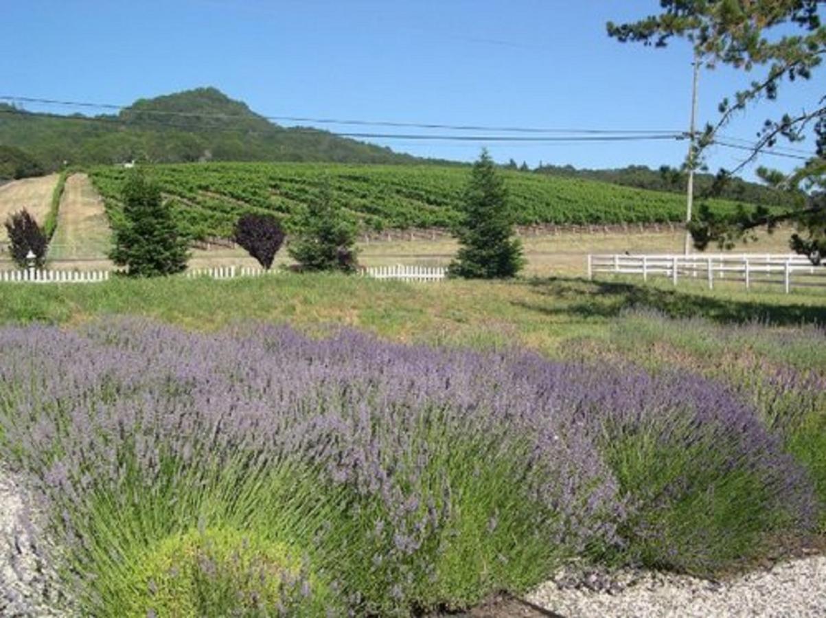 The Gables Wine Country Inn Santa Rosa Exteriör bild